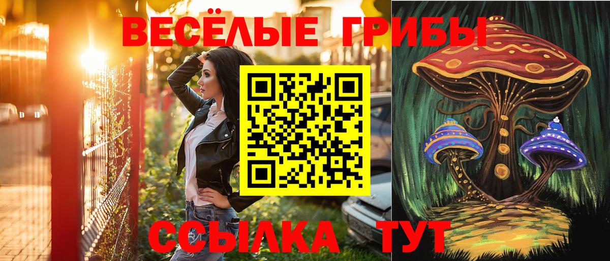 Галлюциногенные грибы GOLDEN TEACHER Армавир
