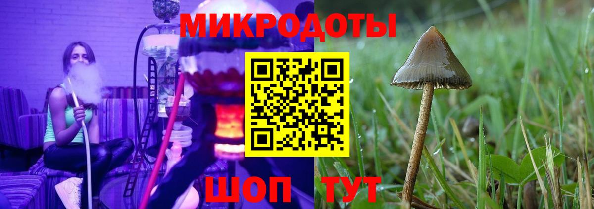 Псилоцибиновые грибы мицелий  Вход с VPN  Армавир 